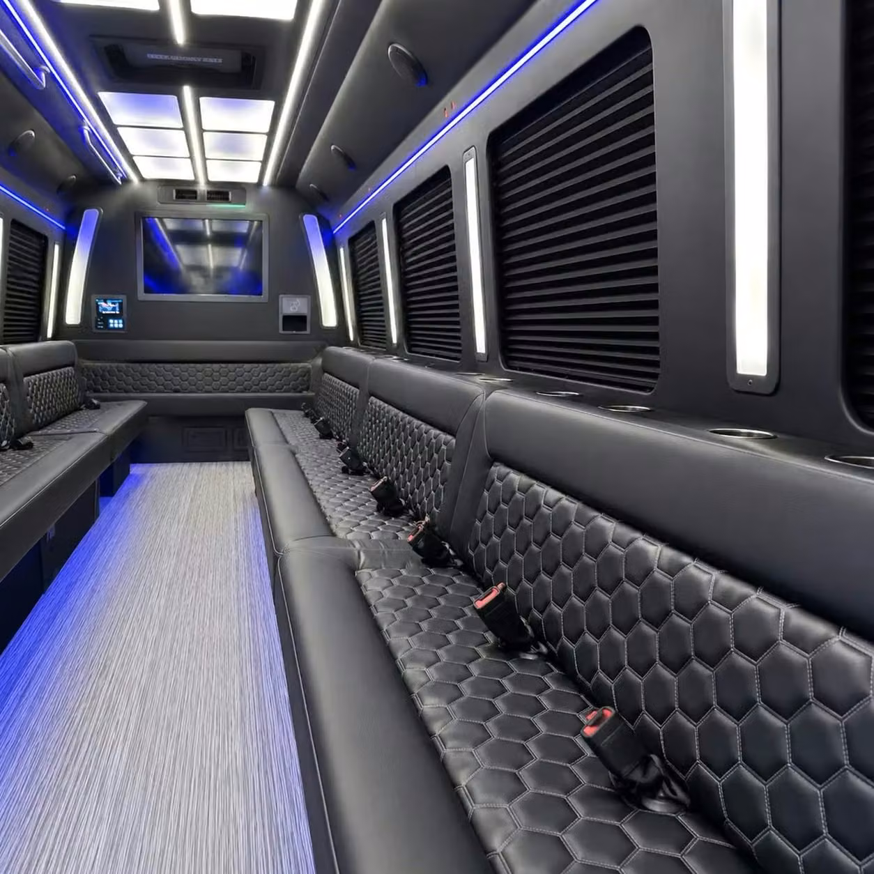 brownsburg party bus party lighting