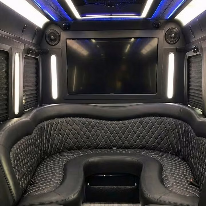 brownsburg party bus sound system